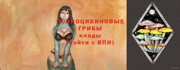 ГАЛЛЮЦИНОГЕННЫЕ ГРИБЫ Балабаново