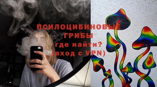 ГАЛЛЮЦИНОГЕННЫЕ ГРИБЫ Балабаново