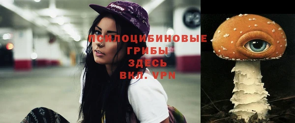 ГАЛЛЮЦИНОГЕННЫЕ ГРИБЫ Балабаново