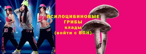 гидра Белоозёрский
