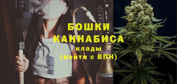 ГАЛЛЮЦИНОГЕННЫЕ ГРИБЫ Балабаново