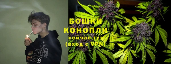 ГАЛЛЮЦИНОГЕННЫЕ ГРИБЫ Балабаново